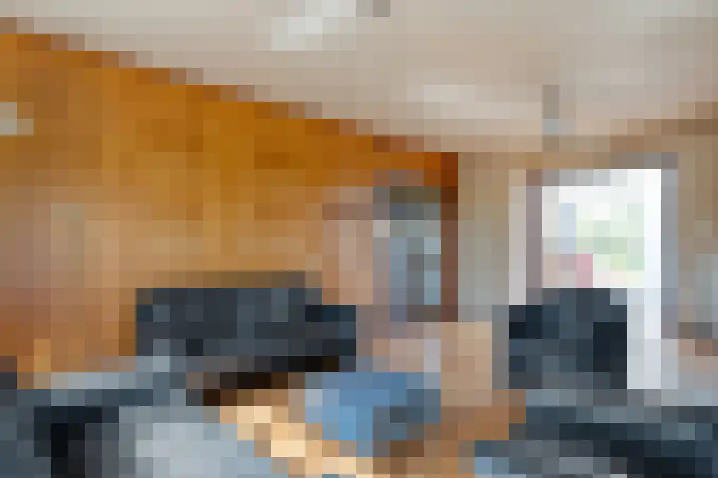 Ruinerveldweg 7 Ruinen thumbnail 21