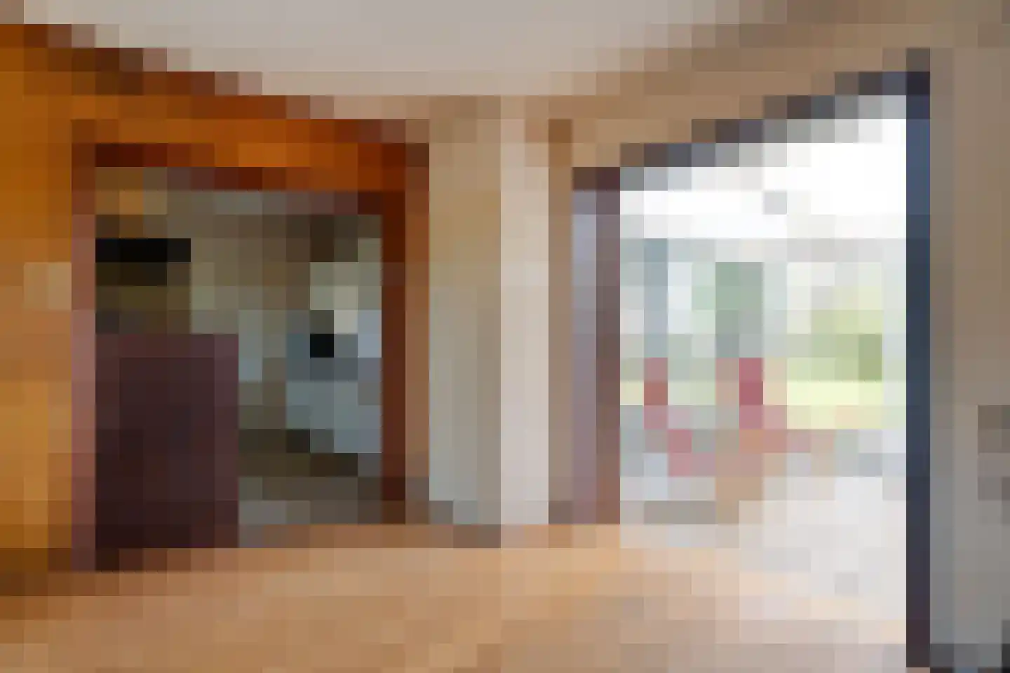 Ruinerveldweg 7 Ruinen thumbnail 22