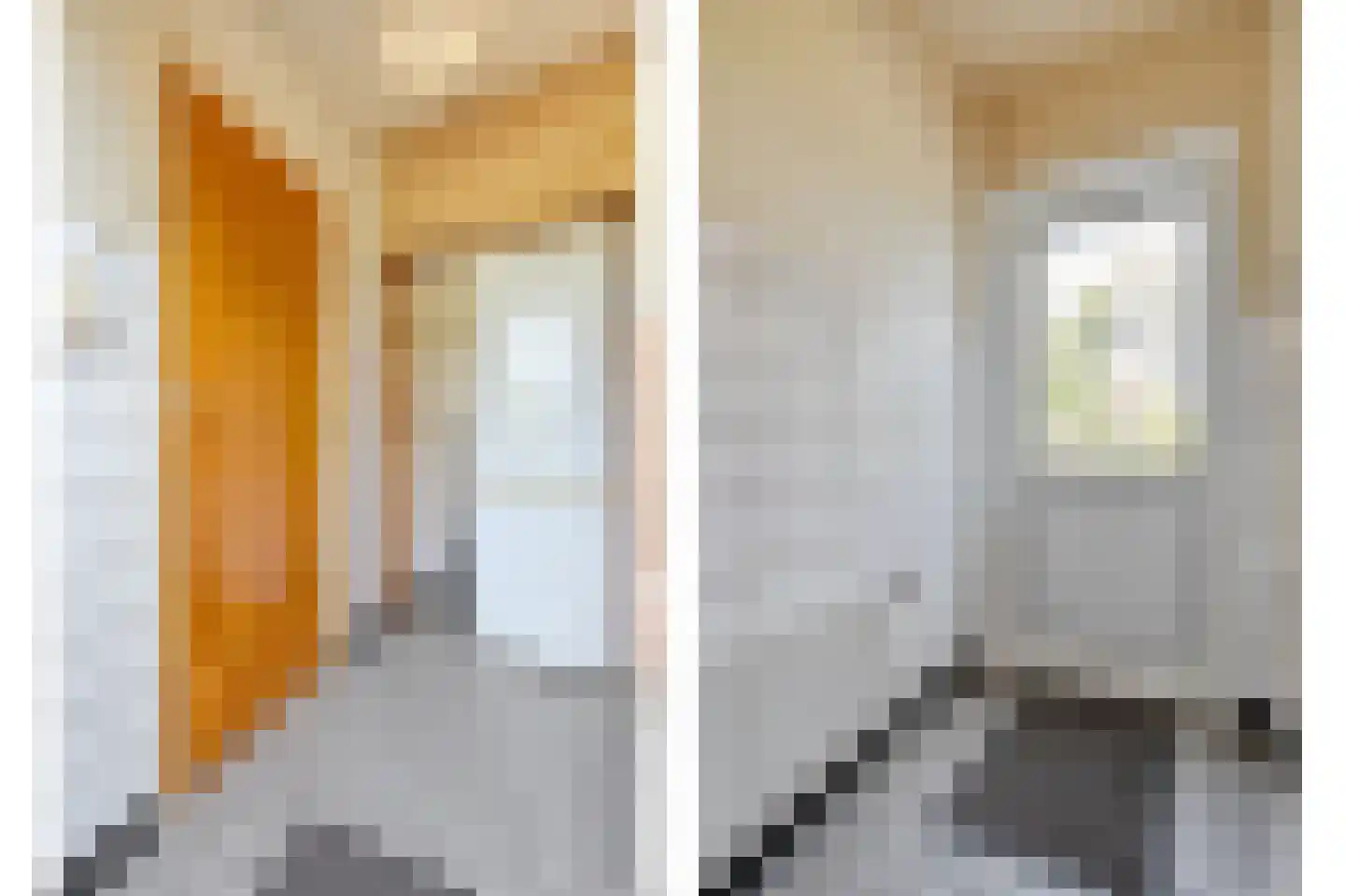 Ruinerveldweg 7 Ruinen thumbnail 25