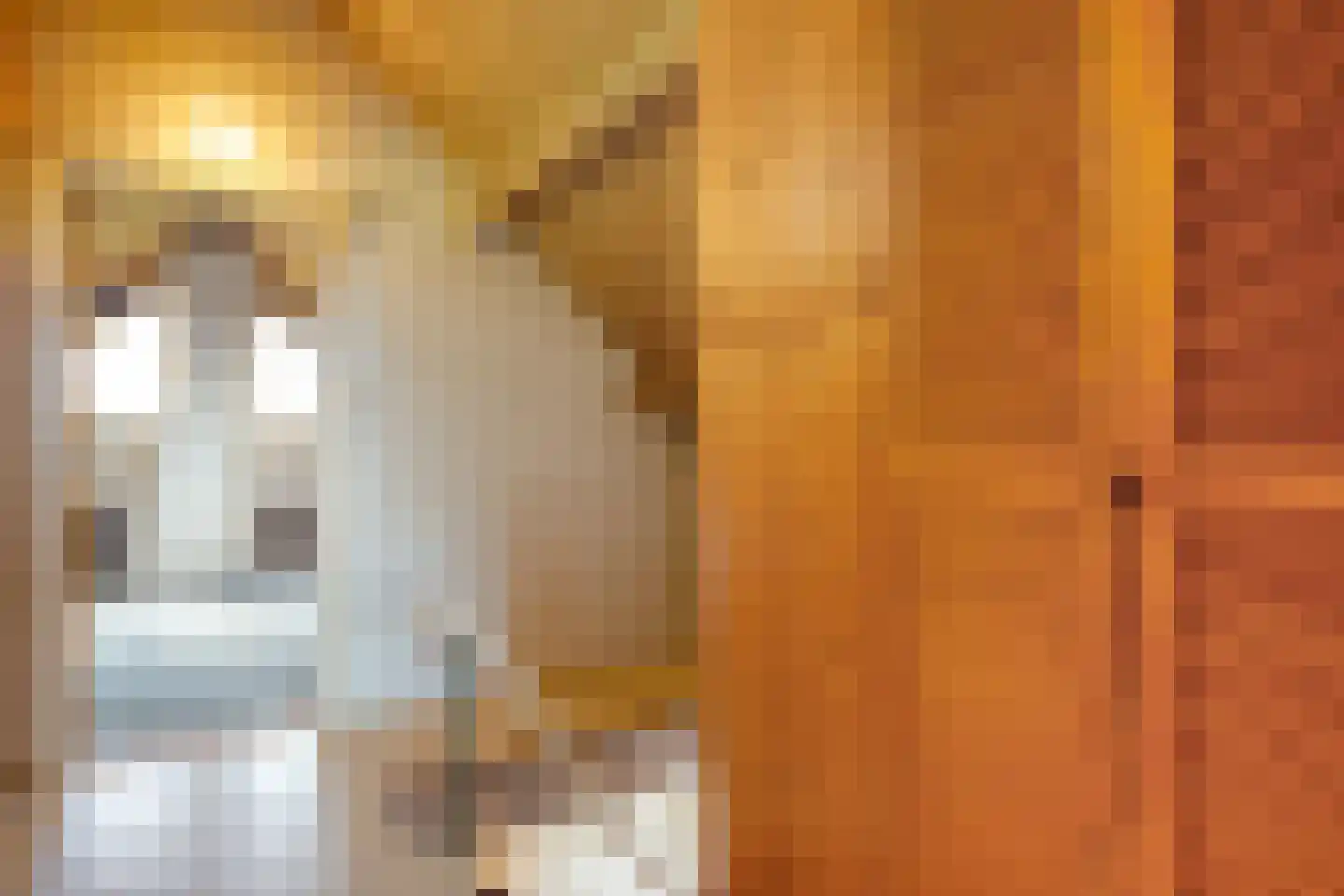 Ruinerveldweg 7 Ruinen thumbnail 26