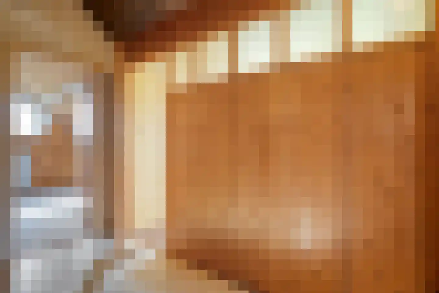 Ruinerveldweg 7 Ruinen thumbnail 27