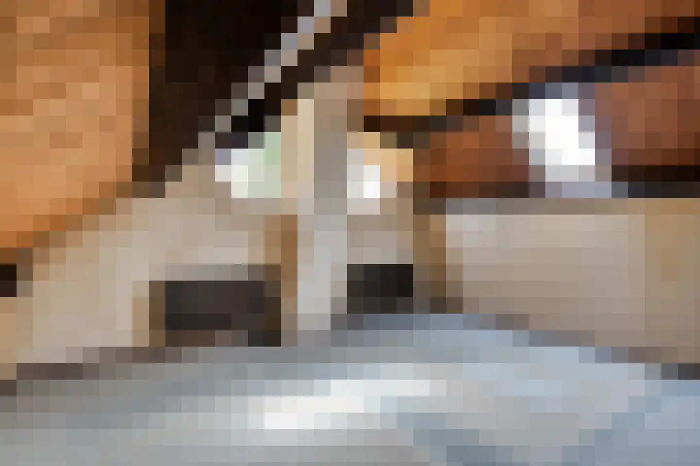 Ruinerveldweg 7 Ruinen thumbnail 28
