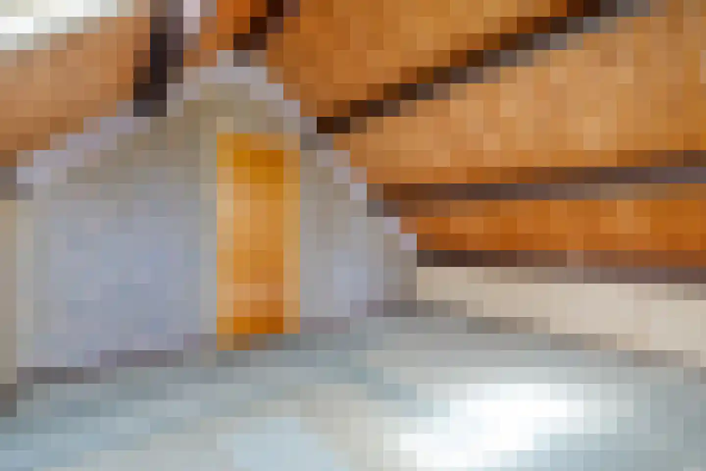 Ruinerveldweg 7 Ruinen thumbnail 29