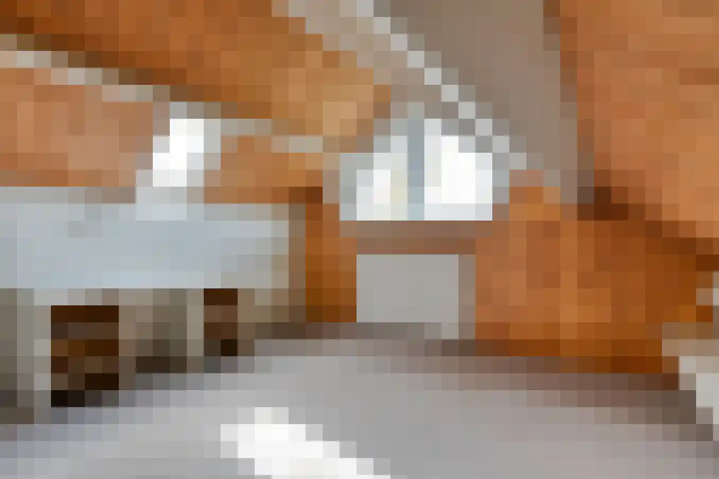 Ruinerveldweg 7 Ruinen thumbnail 32