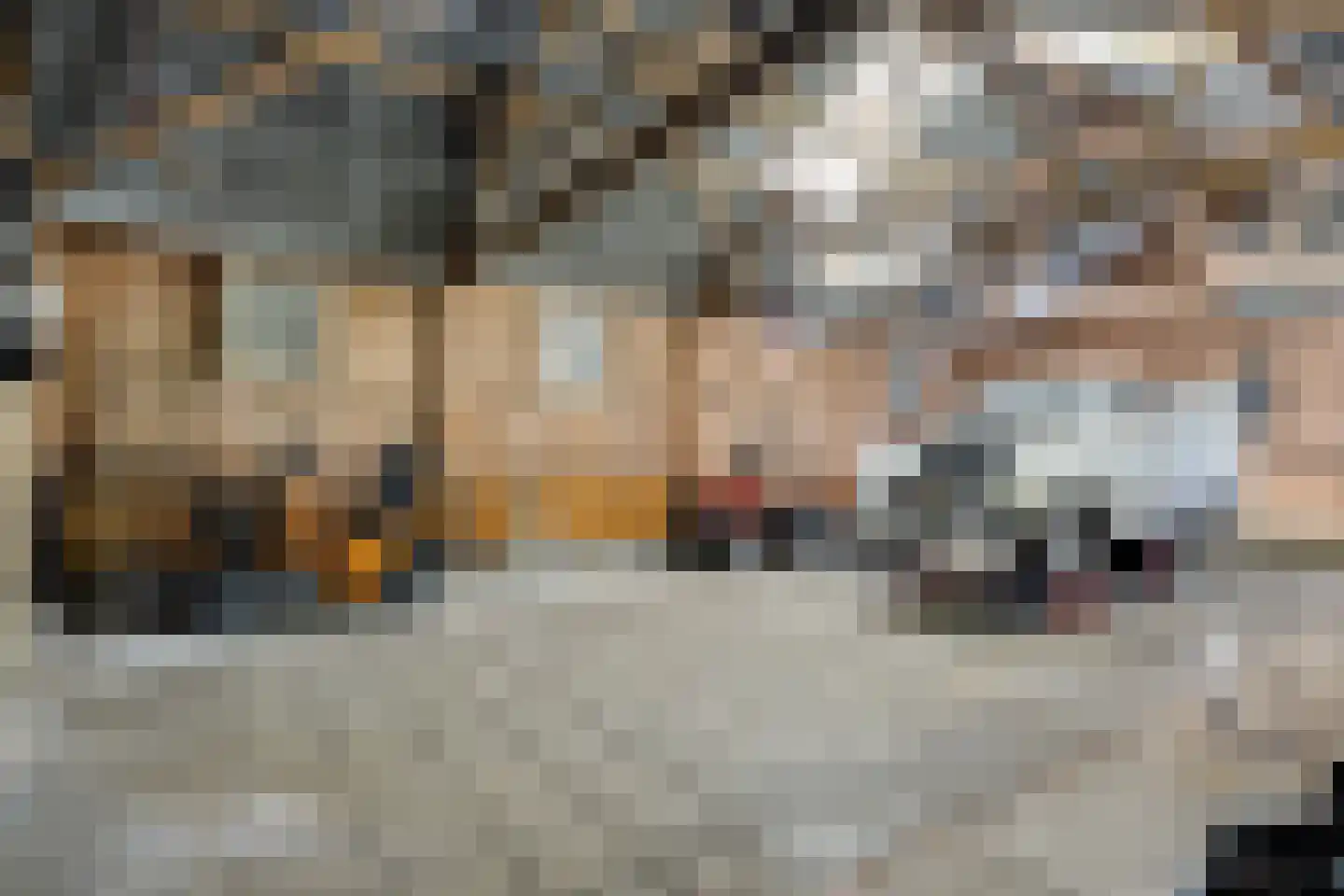 Ruinerveldweg 7 Ruinen thumbnail 36
