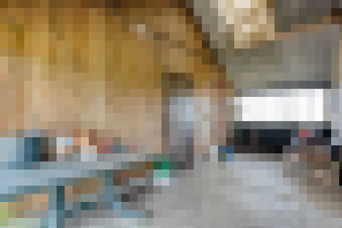 Ruinerveldweg 7 Ruinen thumbnail 39