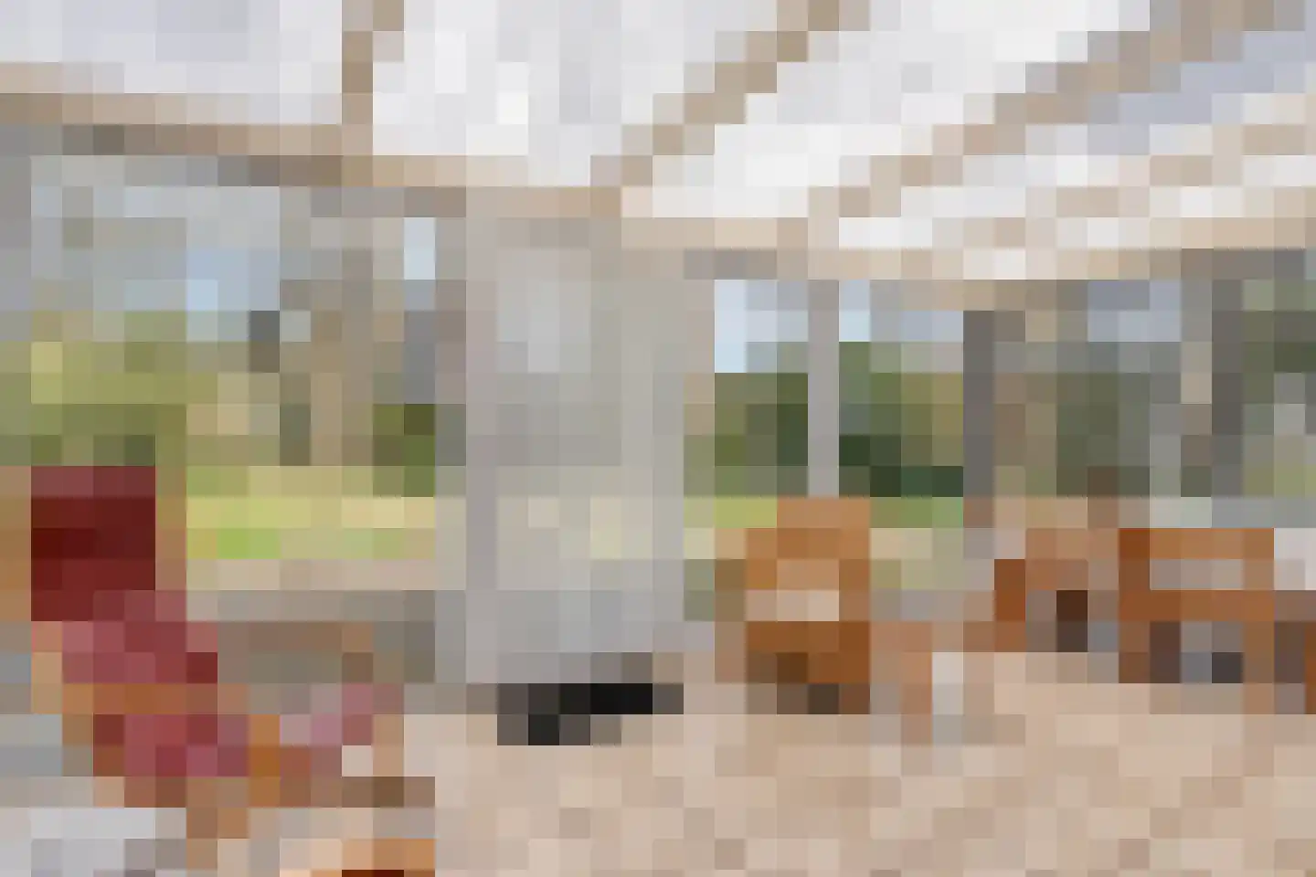 Ruinerveldweg 7 Ruinen thumbnail 4