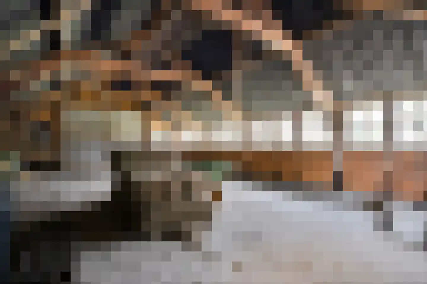 Ruinerveldweg 7 Ruinen thumbnail 40