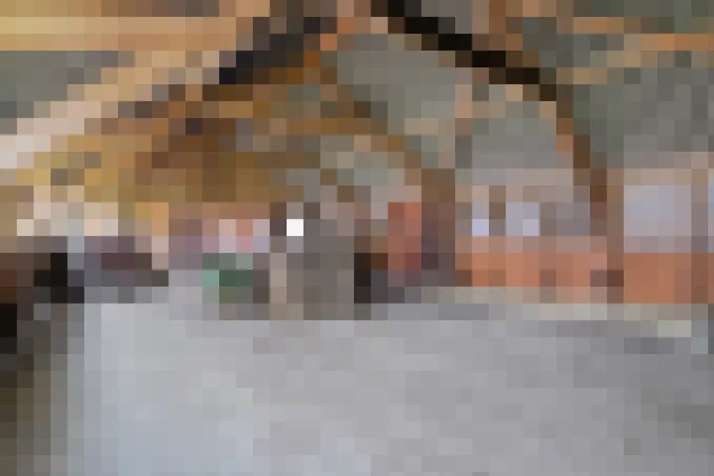 Ruinerveldweg 7 Ruinen thumbnail 41