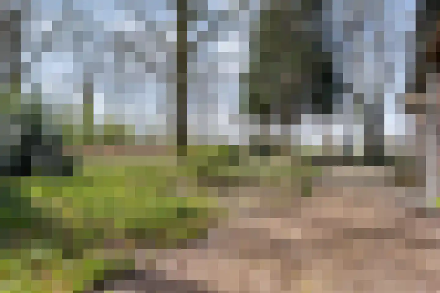 Ruinerveldweg 7 Ruinen thumbnail 44