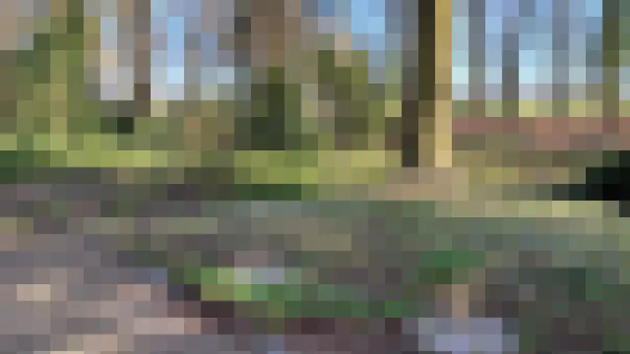 Ruinerveldweg 7 Ruinen thumbnail 45