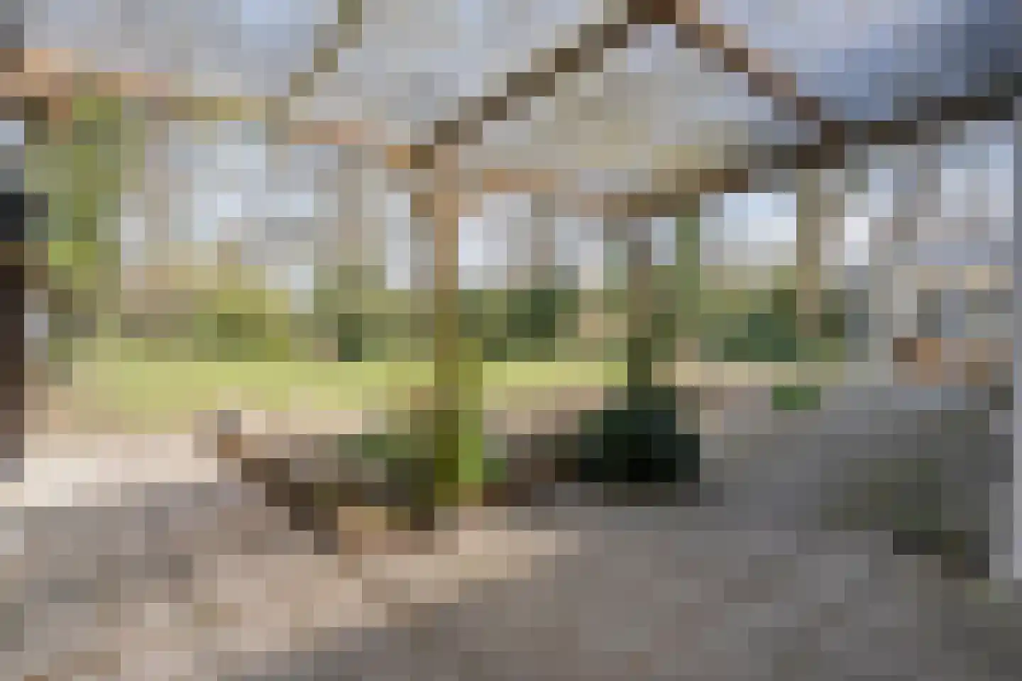 Ruinerveldweg 7 Ruinen thumbnail 46