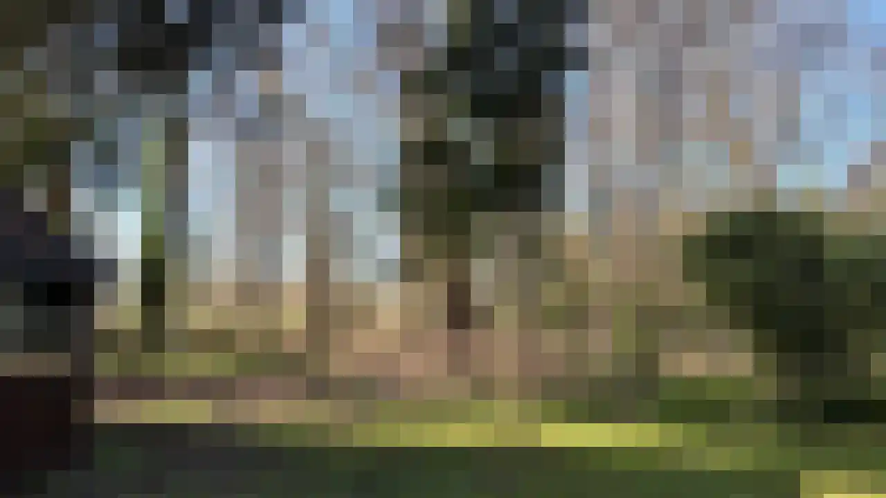 Ruinerveldweg 7 Ruinen thumbnail 48