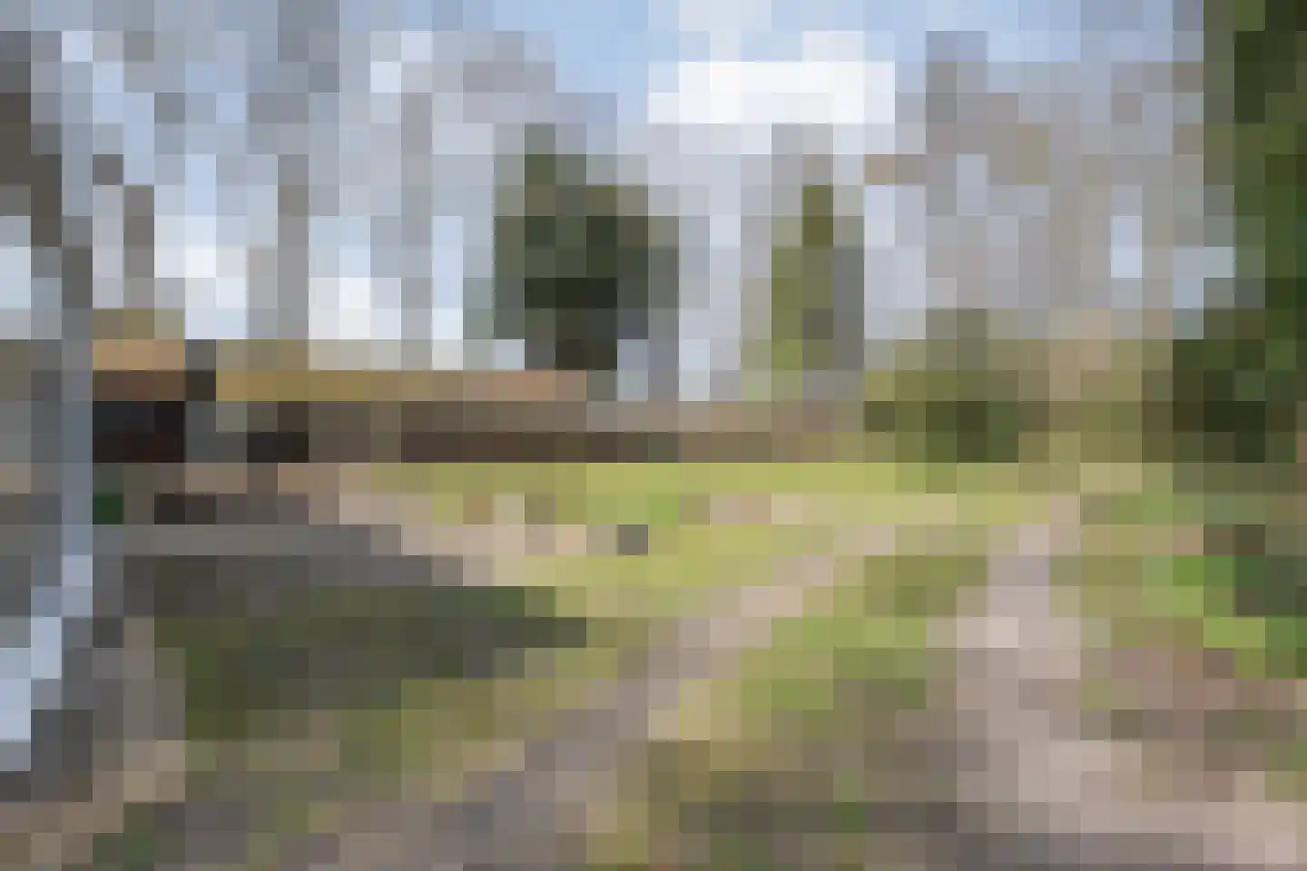 Ruinerveldweg 7 Ruinen thumbnail 49