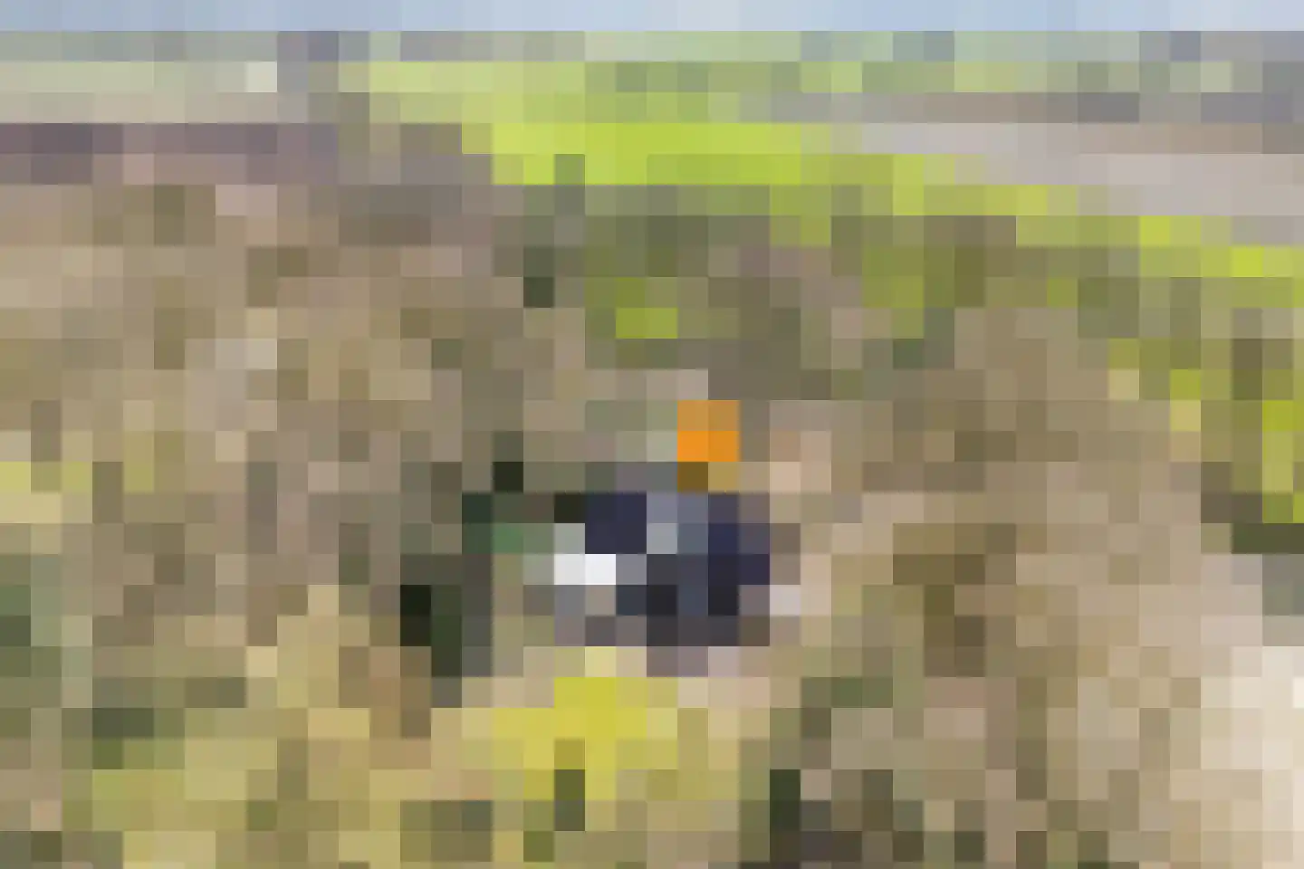 Ruinerveldweg 7 Ruinen thumbnail 5
