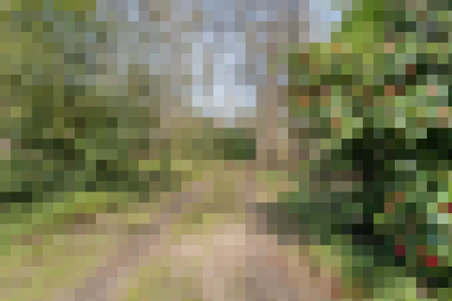 Ruinerveldweg 7 Ruinen thumbnail 50