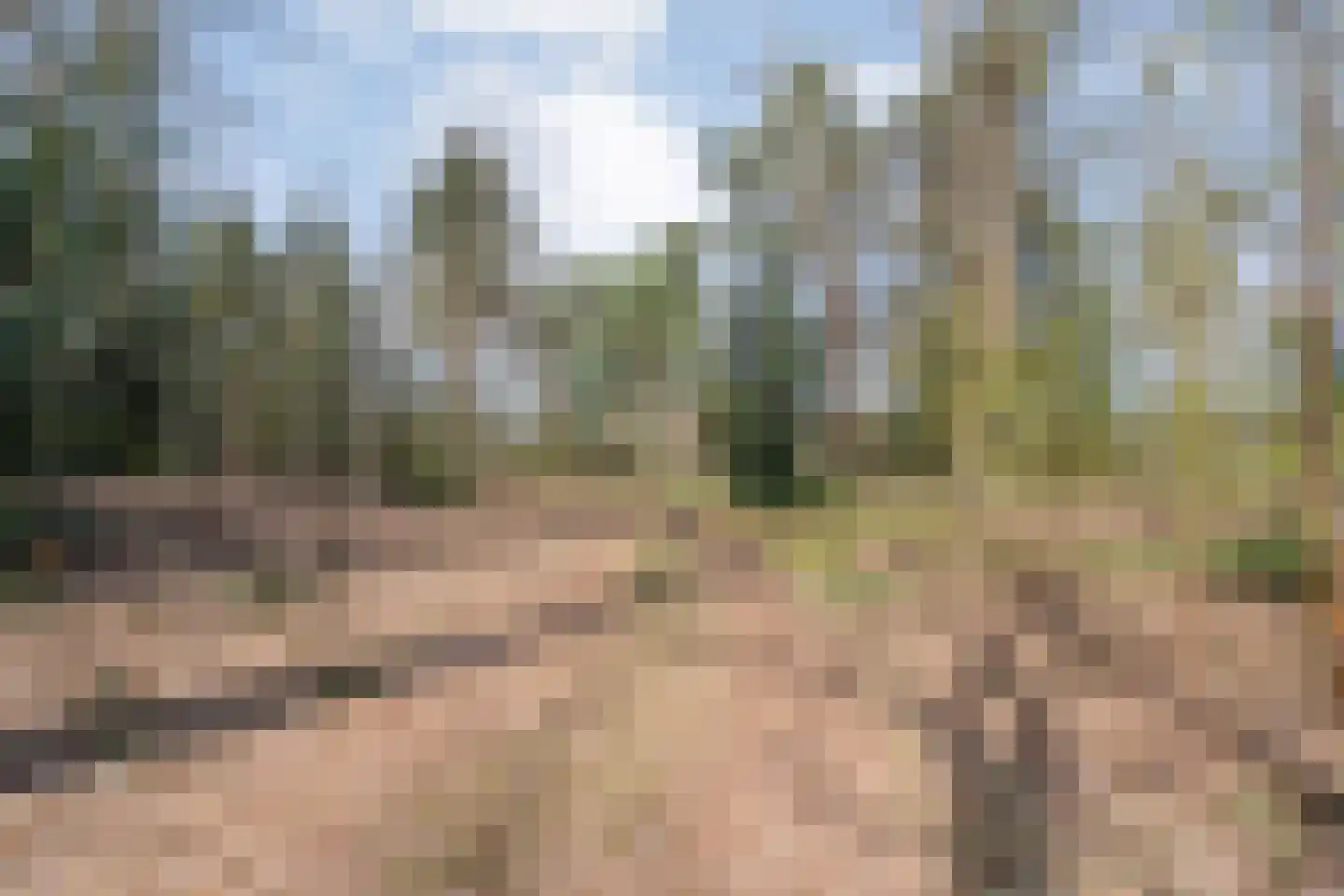 Ruinerveldweg 7 Ruinen thumbnail 51