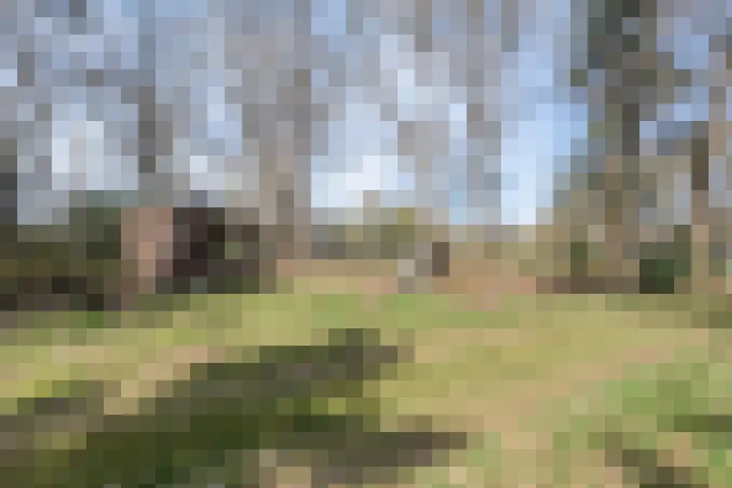 Ruinerveldweg 7 Ruinen thumbnail 52