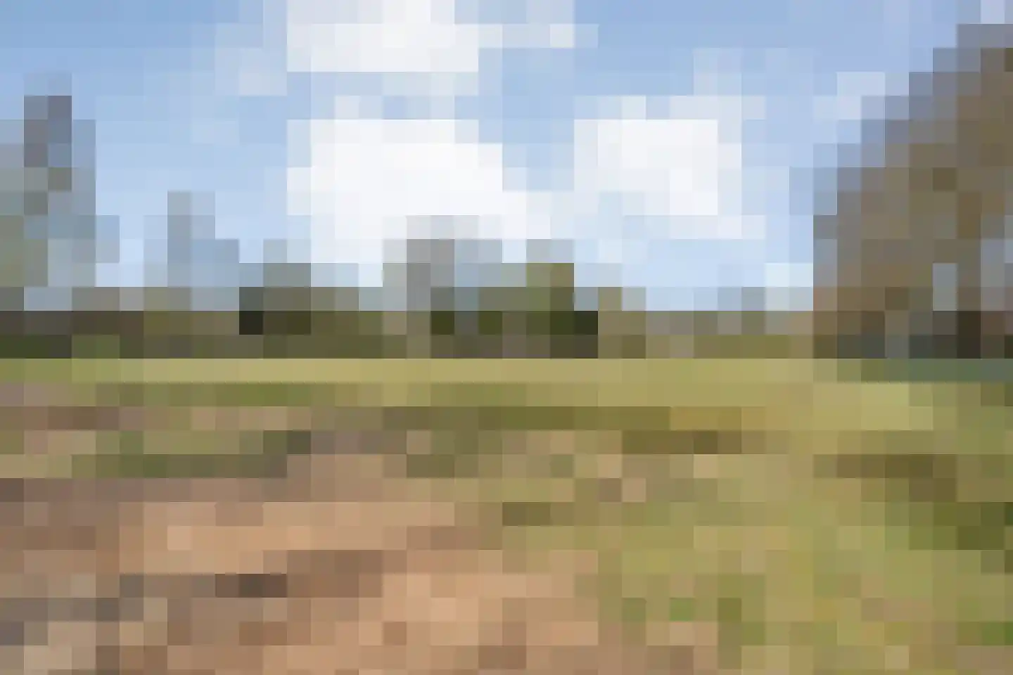 Ruinerveldweg 7 Ruinen thumbnail 53