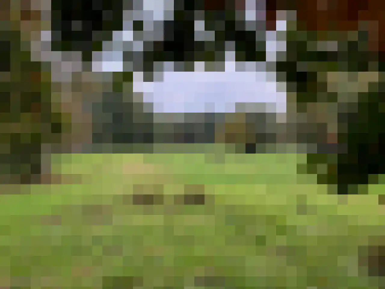 Ruinerveldweg 7 Ruinen thumbnail 54
