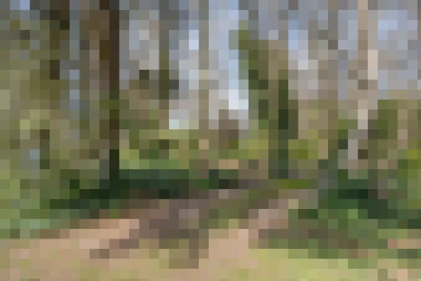 Ruinerveldweg 7 Ruinen thumbnail 55