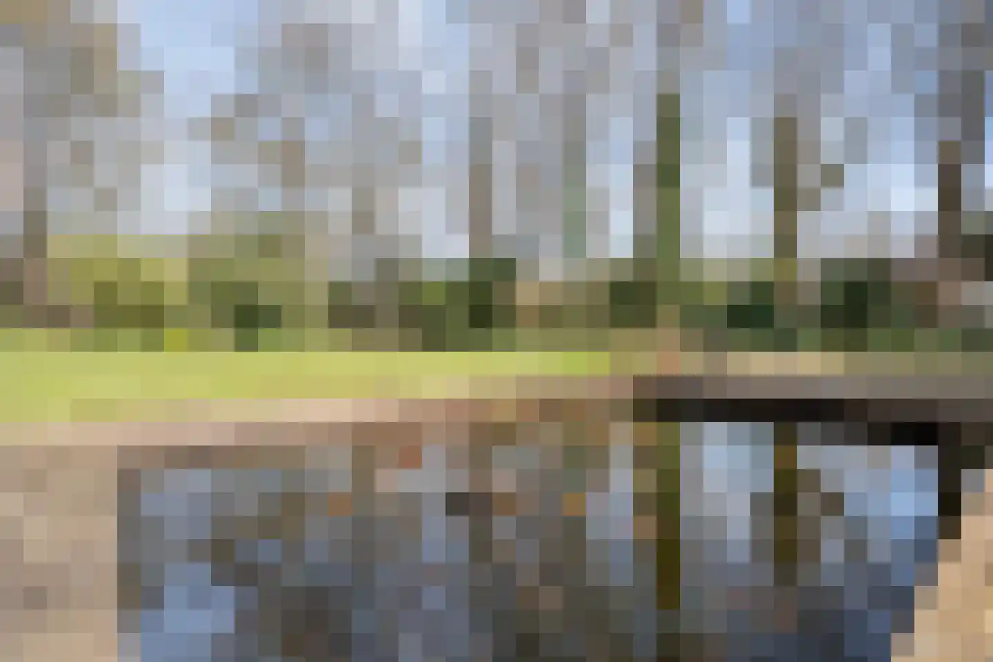 Ruinerveldweg 7 Ruinen thumbnail 56