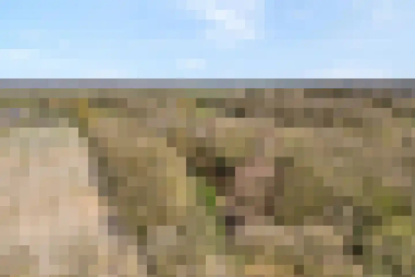 Ruinerveldweg 7 Ruinen thumbnail 58