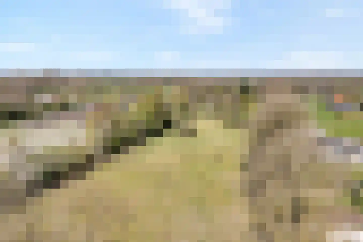 Ruinerveldweg 7 Ruinen thumbnail 59