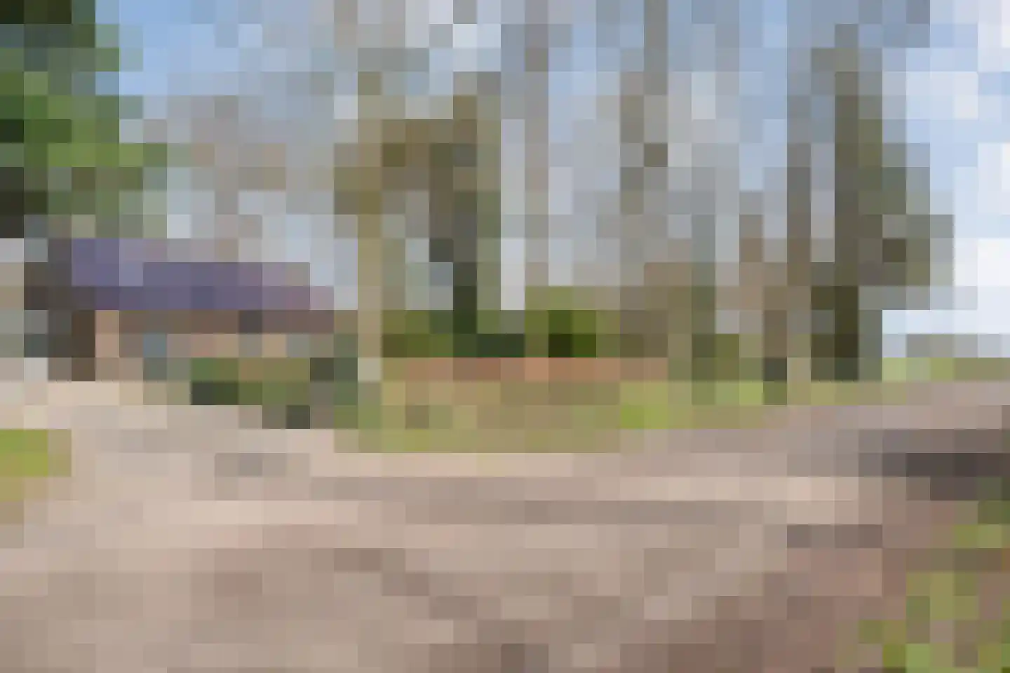 Ruinerveldweg 7 Ruinen thumbnail 7