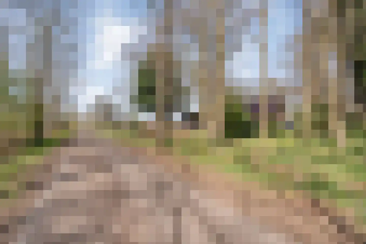 Ruinerveldweg 7 Ruinen thumbnail 8