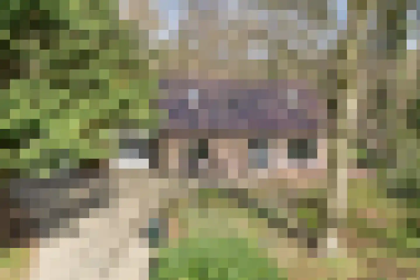 Ruinerveldweg 7 Ruinen thumbnail 9