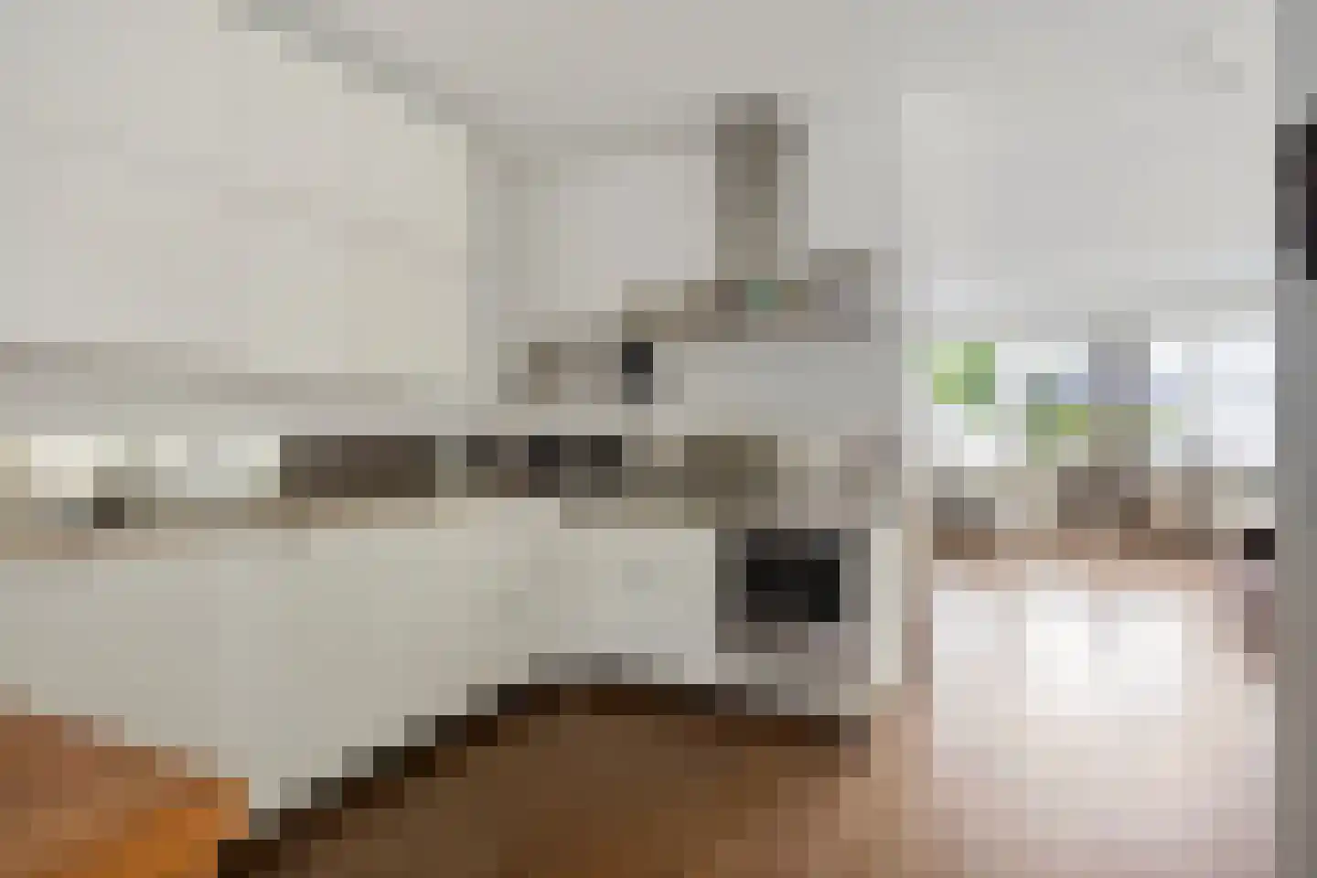 Ruinerweg 26 a Koekange thumbnail 10