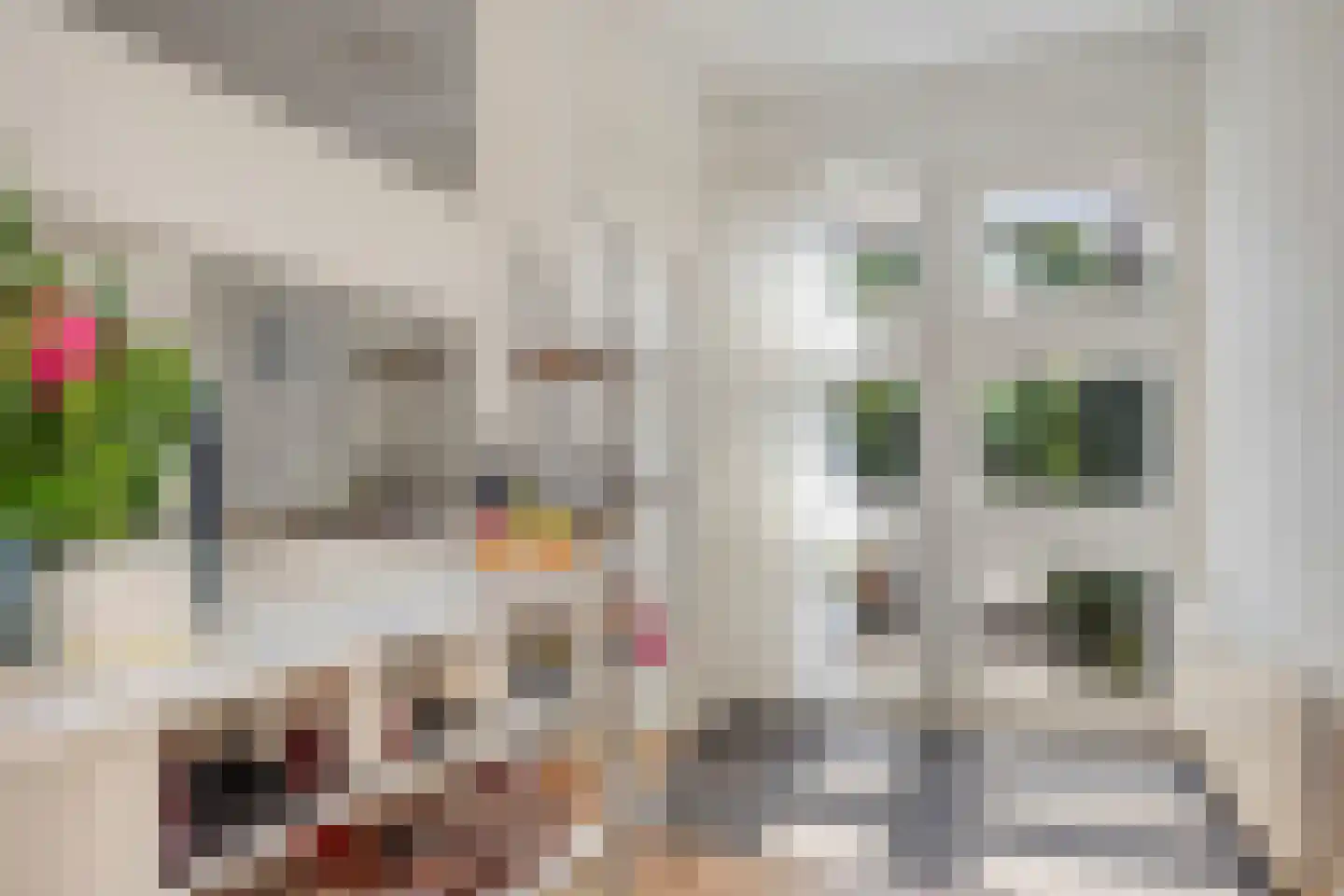 Ruinerweg 26 a Koekange thumbnail 12