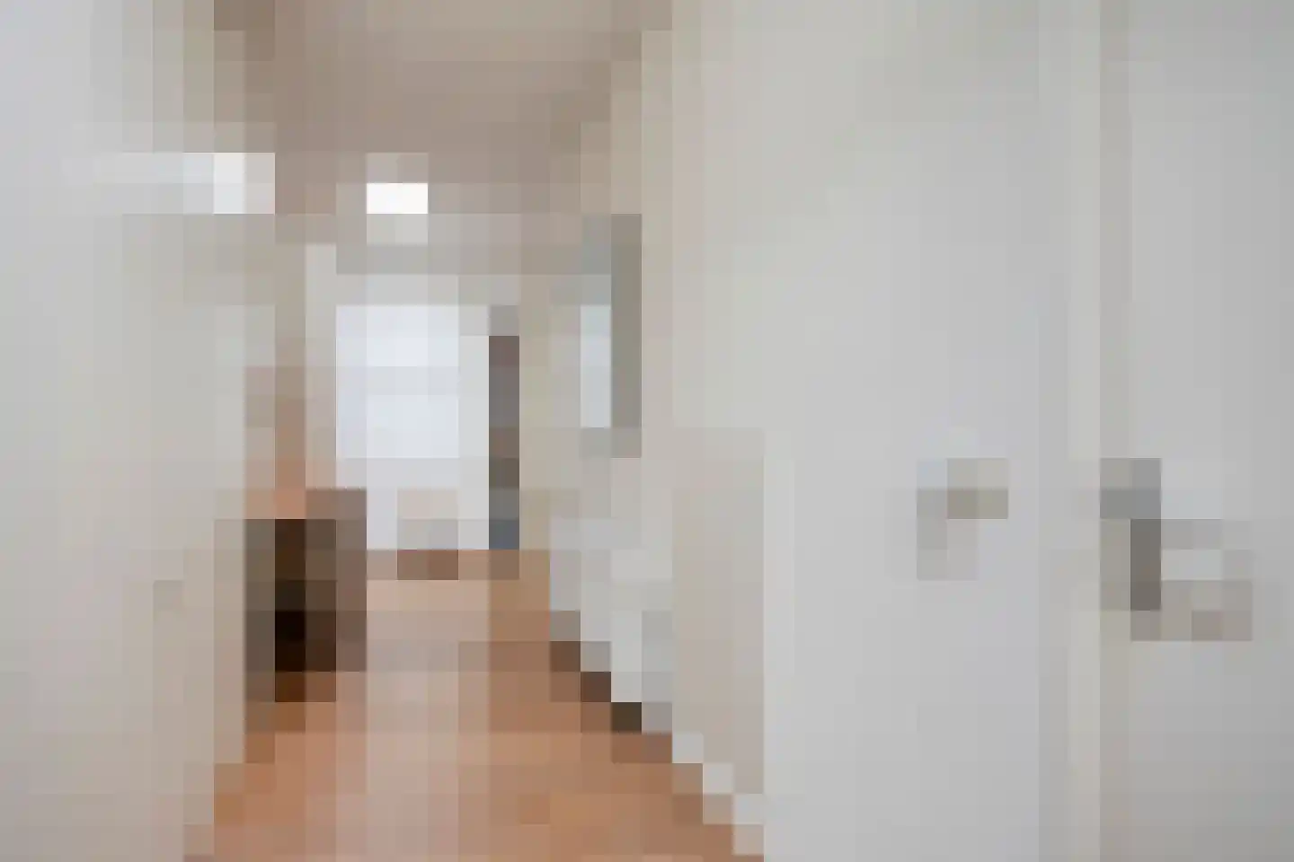 Ruinerweg 26 a Koekange thumbnail 13