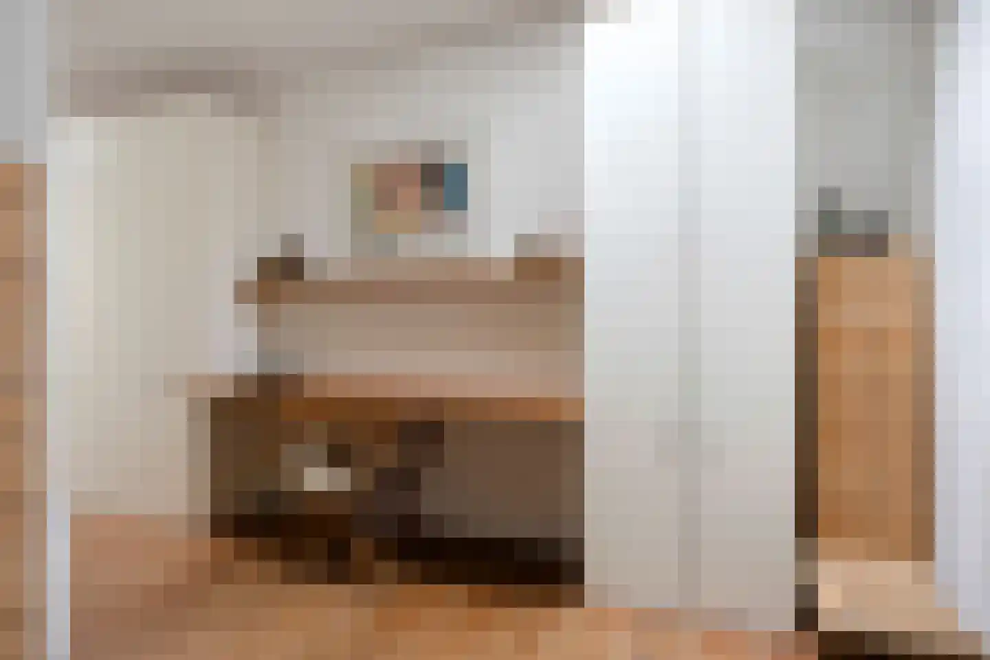 Ruinerweg 26 a Koekange thumbnail 16