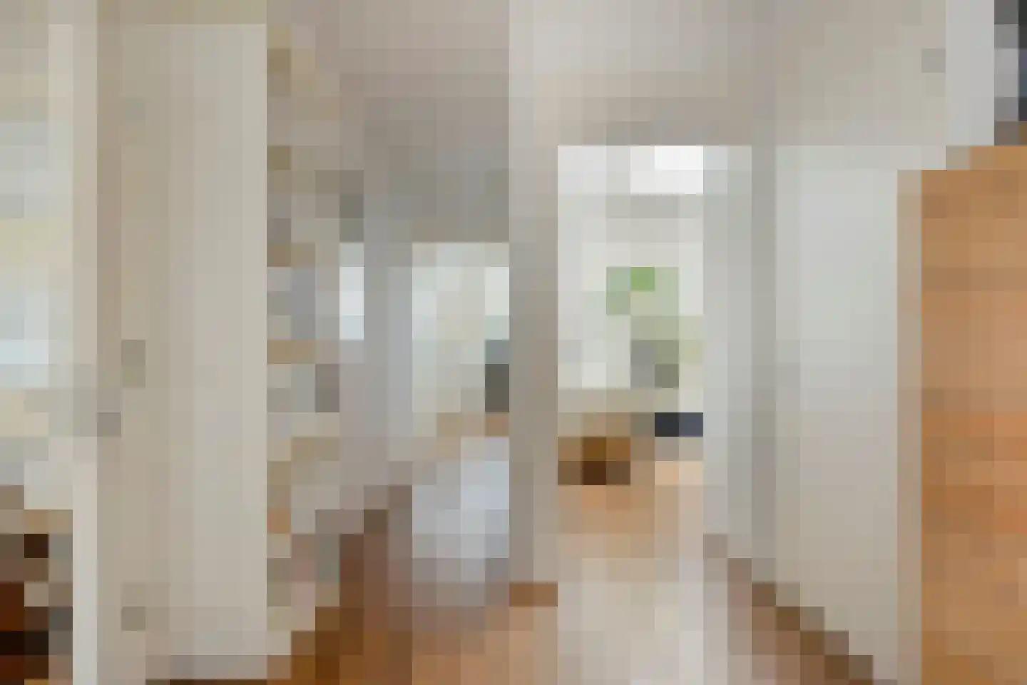 Ruinerweg 26 a Koekange thumbnail 17