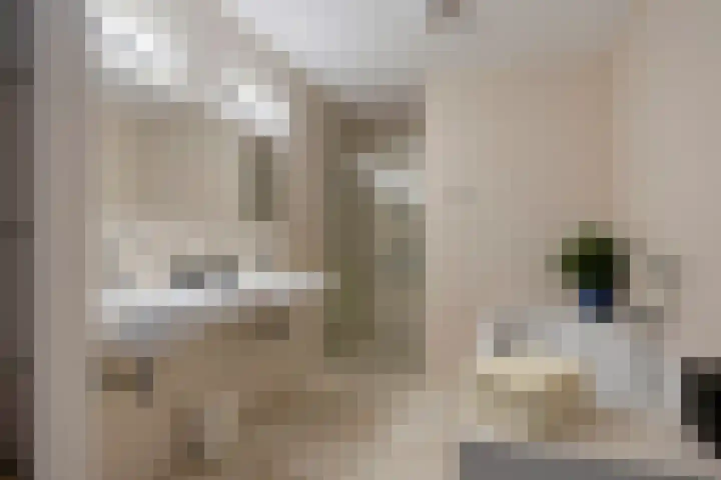 Ruinerweg 26 a Koekange thumbnail 24