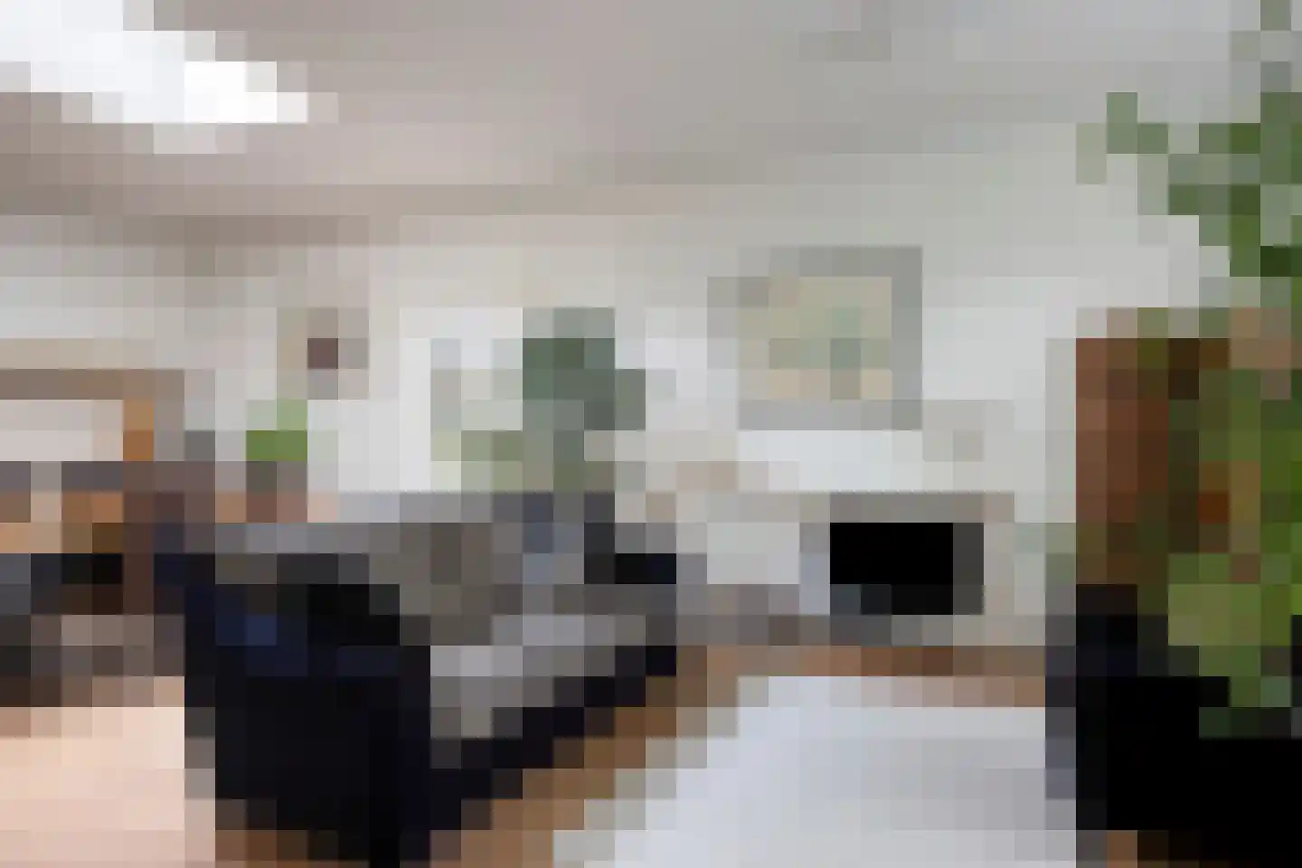 Ruinerweg 26 a Koekange thumbnail 30