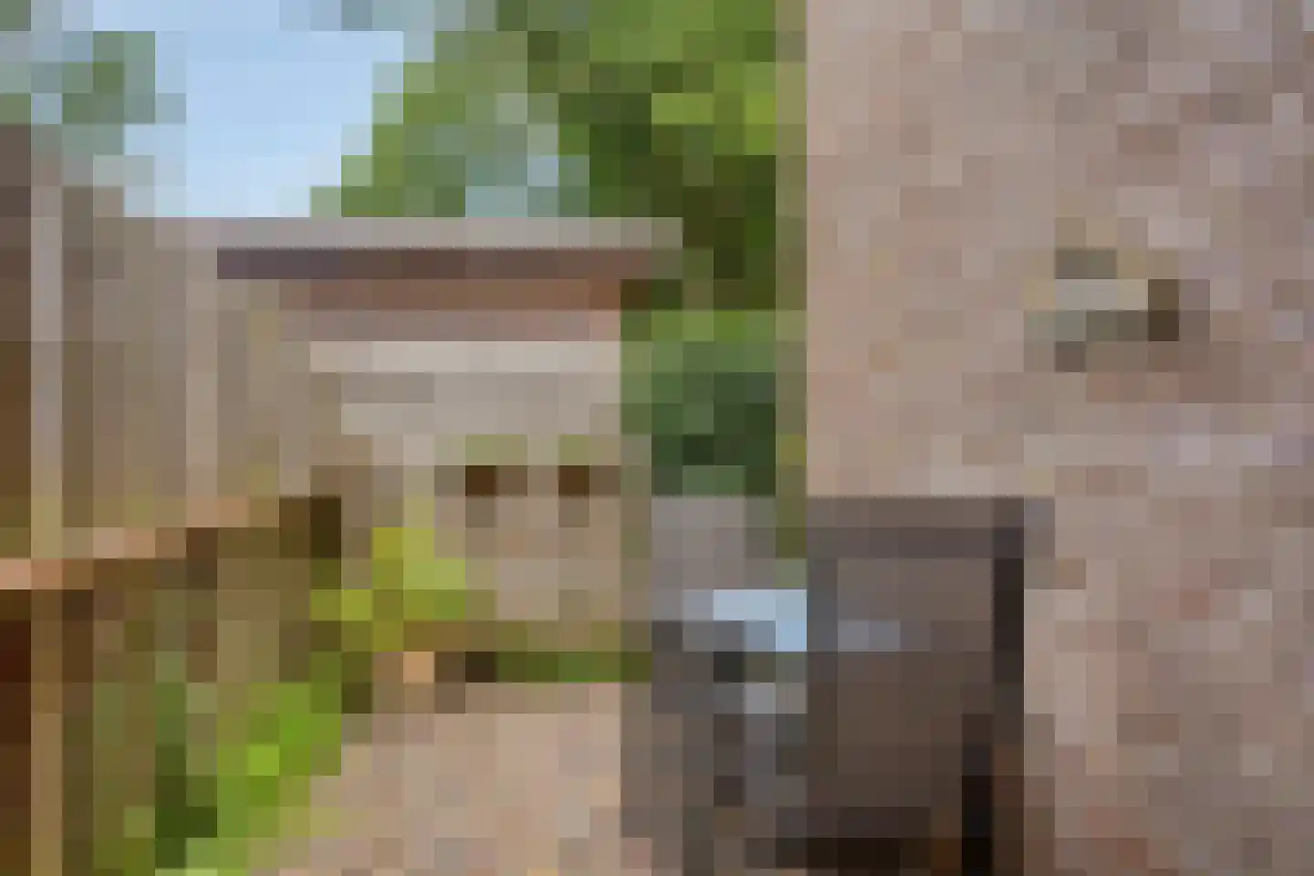 Ruinerweg 26 a Koekange thumbnail 36