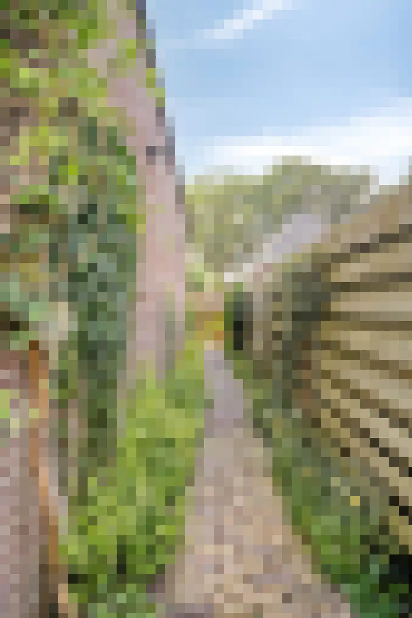 Ruinerweg 26 a Koekange thumbnail 38
