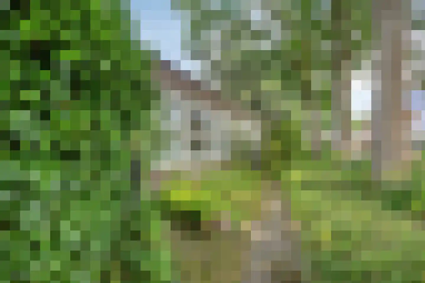 Ruinerweg 26 a Koekange thumbnail 39