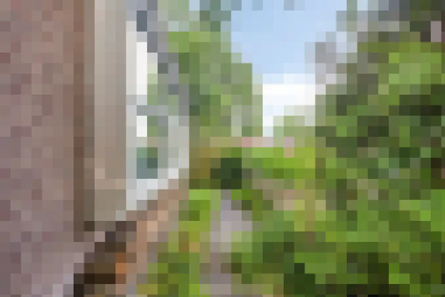 Ruinerweg 26 a Koekange thumbnail 40