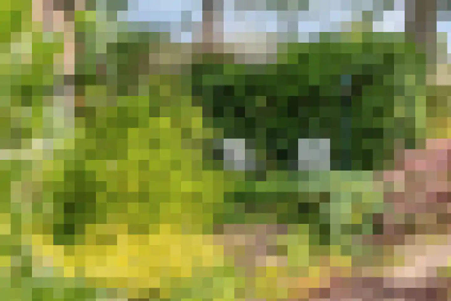 Ruinerweg 26 a Koekange thumbnail 41