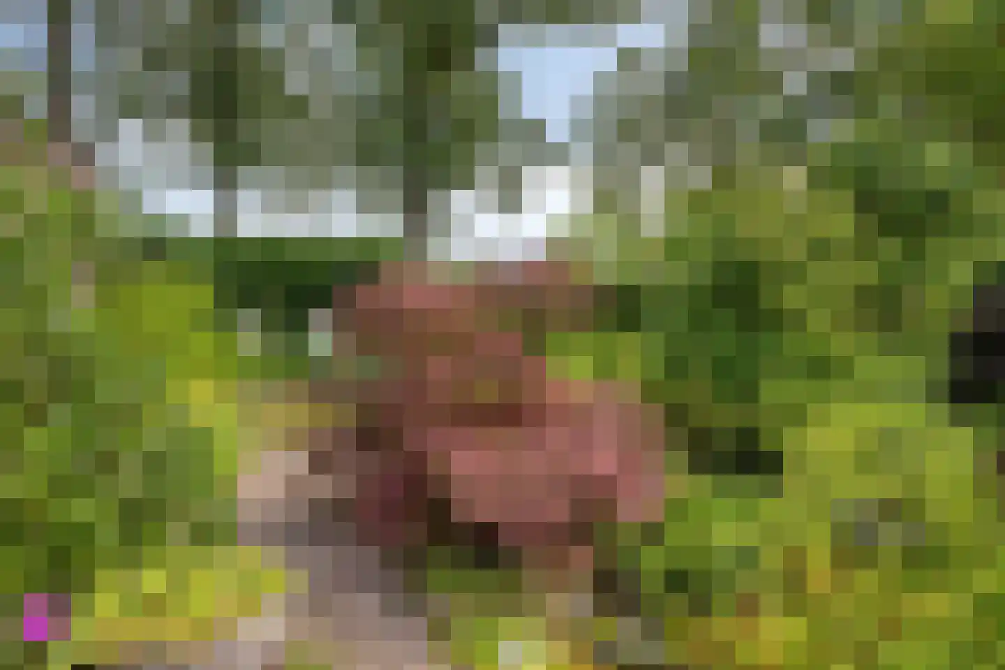 Ruinerweg 26 a Koekange thumbnail 42