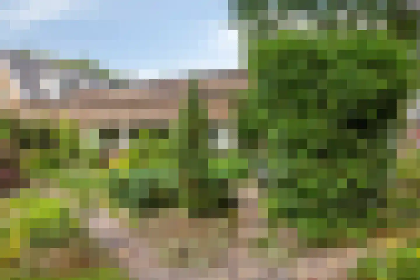 Ruinerweg 26 a Koekange thumbnail 43