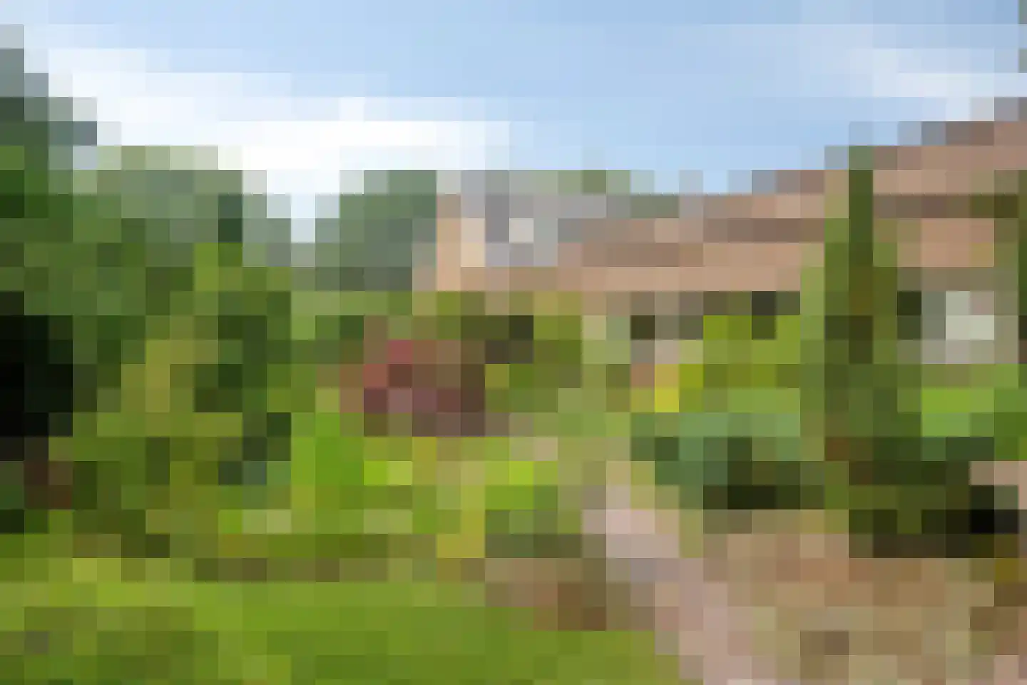 Ruinerweg 26 a Koekange thumbnail 44
