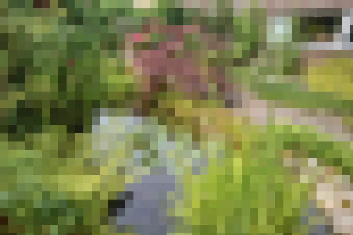 Ruinerweg 26 a Koekange thumbnail 45