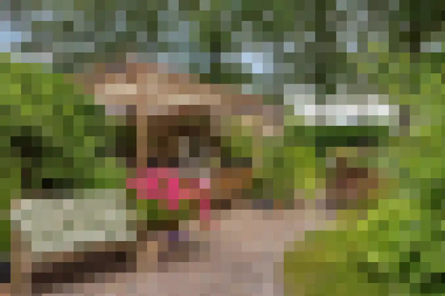 Ruinerweg 26 a Koekange thumbnail 47
