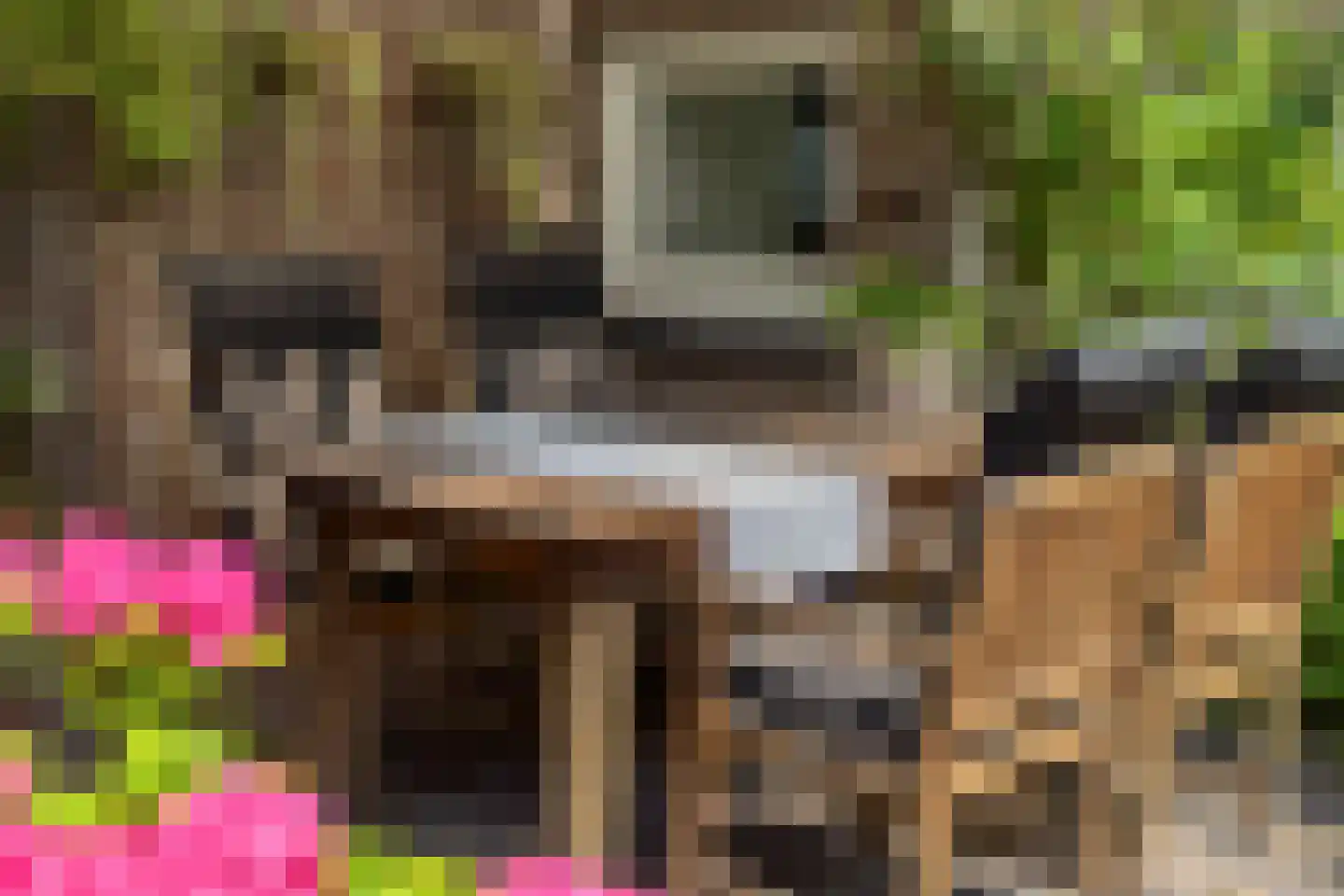 Ruinerweg 26 a Koekange thumbnail 48