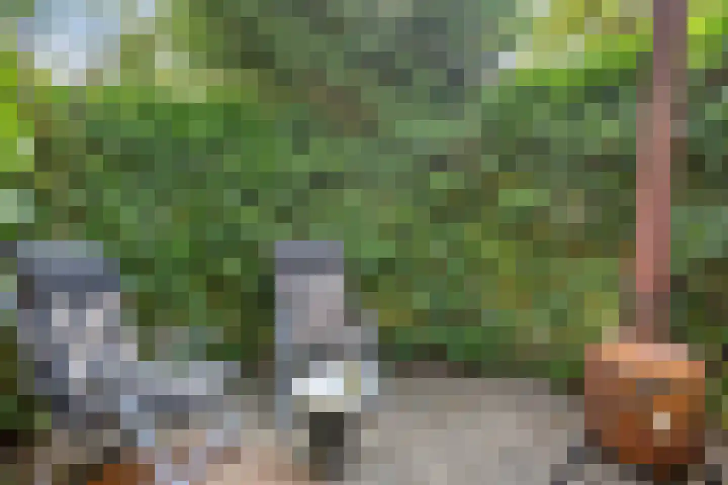 Ruinerweg 26 a Koekange thumbnail 51
